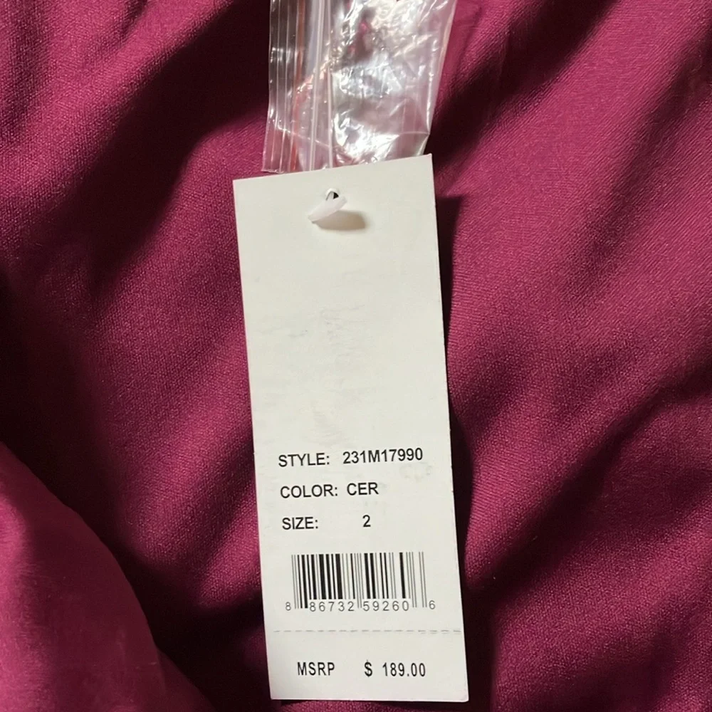 Hailey Adrianna Papell magenta gown - Picture 5 of 5